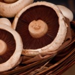 low carb mushrooms recipe